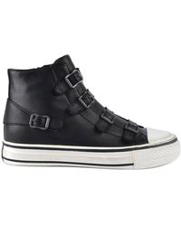 ash virgin high tops