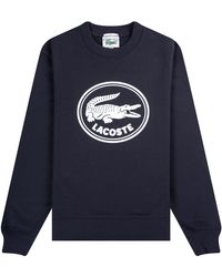 Lacoste Cotton Large Logo Sweatshirt in 
