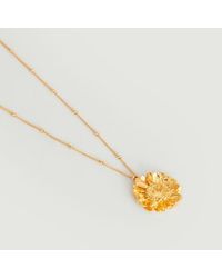 Elise Tsikis String Necklace 55cm Gold - Yellow