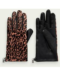 Superdry Sport Ultimate Rescue Gloves in Black | Lyst