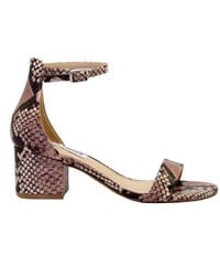 dariella sandals
