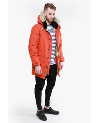 penfield goose down