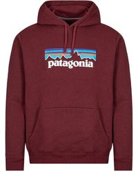 Patagonia Hoodies for Men | Online Sale 