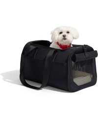 Away Travel - The Pet Carrier - Lyst
