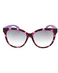 adidas - Brown Acetate Sunglasses - Lyst