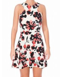 Aqua Dress Size Xs Halter Floral-print Fit & Flare Mini - Black
