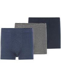 Babista - 3Er Pack Retropants Kordan - Lyst