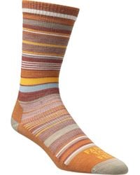 FARM TO FEET - Ithaca Multi Stripe Sock - Lyst