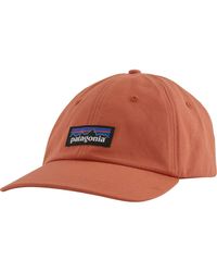 Patagonia Fitzroy P Label Logo Hat in Natural for Men | Lyst