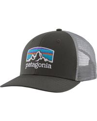 Patagonia Fitz Roy Bear Trucker Hat in Blue for Men