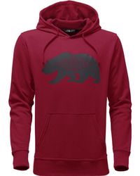 north face bearitage hoodie