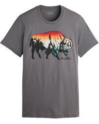 Pendleton - Ombre Bison Graphic T-Shirt - Lyst