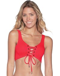 maaji lingerie