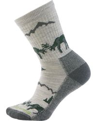 Smartwool - Everyday Horns Clash Crew Sock - Lyst