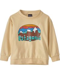 Patagonia - Lightweight Crew Sweatshirt - Lyst