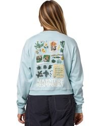 Parks Project - Forest Forager Cropped Crew Sweatshirt - Lyst