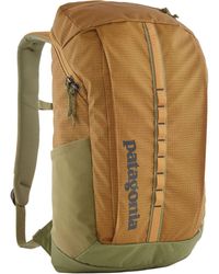 Patagonia - Hole 25L Backpack Pufferfish - Lyst