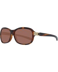 Serengeti Brown Polarized Rectangle Sunglasses