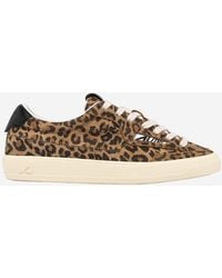 Autry - Windscape Low Sneakers With Animal Print - Lyst