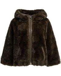 Pinko - Jassen En Jassen - Lyst