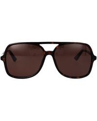 Chloé - Havana-Havana- Acetate Sunglasses - Lyst