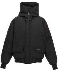 Canada Goose - Kanada Gans 'Chilliwack' Bomberjacke - Lyst