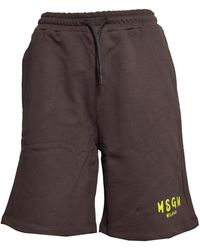 MSGM - Bericht Korte Broek - Lyst