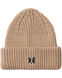 PELO FOUNDATION - Merino Hat 13005Camel - Lyst