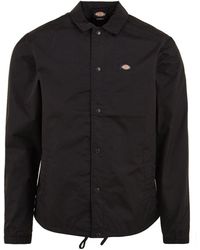 Dickies - Jassen - Lyst