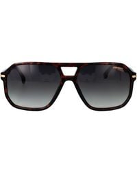 Carrera - Havana Acetate Sunglasses - Lyst