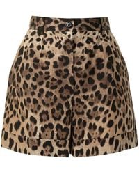 Dolce & Gabbana - Printed Cotton Shorts - Lyst