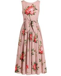 Dolce & Gabbana - Baumwollkleid Mit Rosenbouquet-Print - Lyst