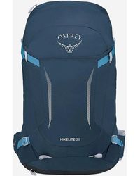 Osprey - Fischadler - Lyst