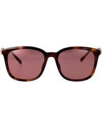 Gucci - Havana-Havana- Acetate Sunglasses - Lyst