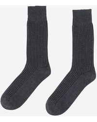 ANT45 - Chaussettes en coton côtelé avec logo - Lyst