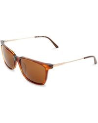 Calvin Klein Sunglasses - Ck19703_248 - Brown