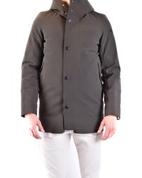 Rrd - Groen - Lyst