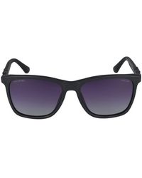 Police - Sonnenbrille Polizei SPL872 Z 703 P Nero Sabbiato/Opaco/17/150 - Lyst