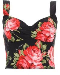 Dolce & Gabbana - Floral Print Bustier Top - Lyst