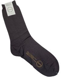 Antipast - Basic Socken - Lyst