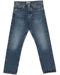 sunflower - Zonnebloem Standaard - Lyst
