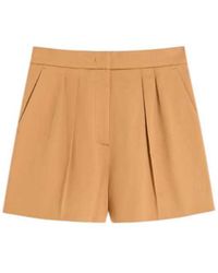Max Mara - Stretch Cotton Satin Shorts - Lyst