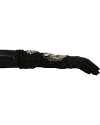 Leather lamb skin crystal gloves di Dolce & Gabbana in Nero Donna Accessori da Guanti da 