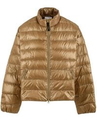 Aspesi - Lagen Beige - Lyst