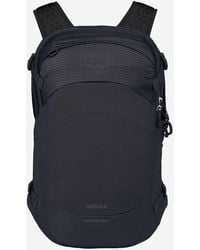 Osprey - Fischadler - Lyst