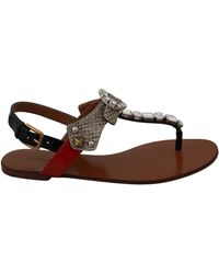 Mujer Zapatos de Zapatos planos sandalias y chanclas de Sandalias planas Sandalia de dedo DG de napa mordoré Dolce & Gabbana de Cuero de color Metálico 