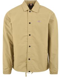 Dickies - Abrigos - Lyst