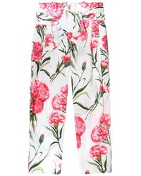 Dolce & Gabbana - Carnation Pants - Lyst