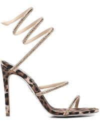 Rene Caovilla - Cleo Heel Sandals - Lyst