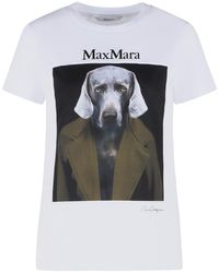 Max Mara - 'Calca' Cotton Sweater - Lyst